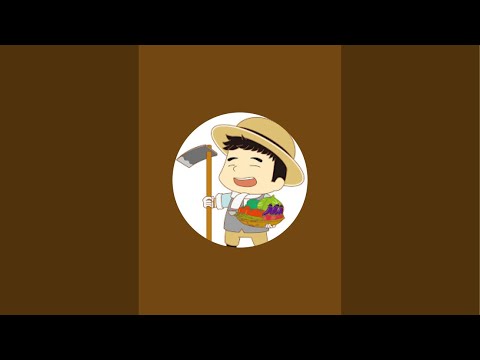 シーズン到来！スジブトヒラタクワガタ！