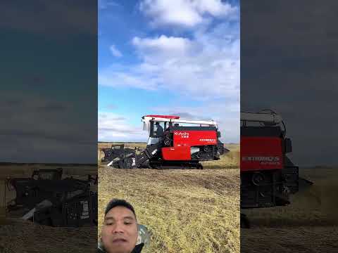 Máy Gặt Trung Quốc Gặt Lúa Đổ #farming