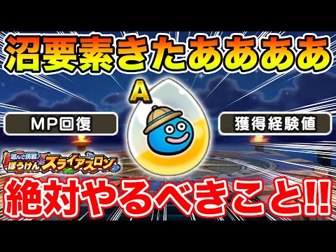 【ドラクエウォーク】スライアスロンで絶対やるべきこと!! この心珠は沼要素すぎる…!!【DQW】