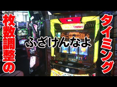 【ワサビ】　2024.10.12「ワサビのじかん」#40