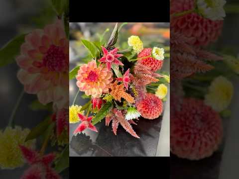 Day 9 💐 10 Days of Late Season Bouquets 💕Zone 5 👩🌾 #cutflowers #flowerfarming #dahlias #flowers
