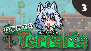 【 ゲーム┆テラリア 】はじめてのTerraria🌳3 ボスがなかなかいない😨┆ #音狼ビビ #テラリア