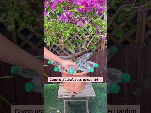 #garden #jardinagem #planta