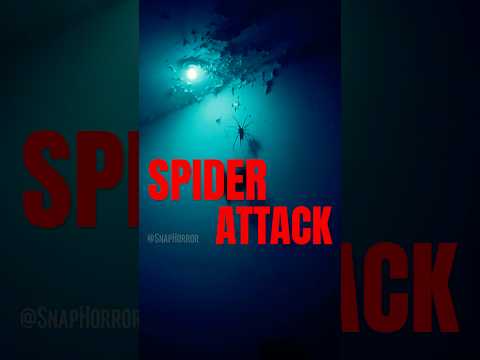 SCARY Spider Emerges from Cracked Ceiling for a Terrifying Jumpscare!