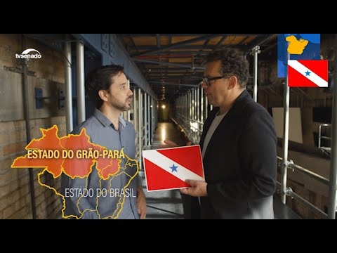 Bandeira do Pará simboliza o espírito de luta de um povo Bandeira do Pará simboliza o espírito de luta de um povo