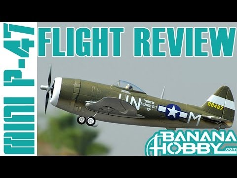 Mini P-47 FMS | Flight Review | Warbird & Military - UCUrw_KqIT1ZYAeRXFQLDDyQ