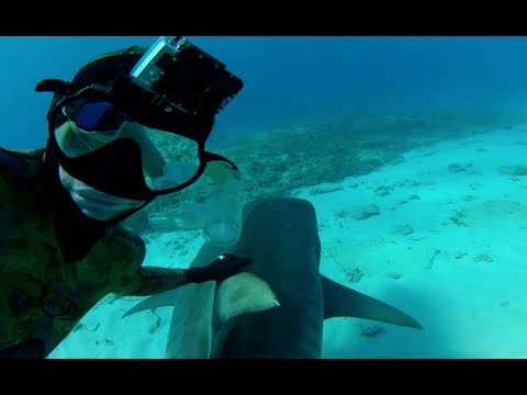 GoPro:  Shark Riders - TV Commercial - You in HD - UCqhnX4jA0A5paNd1v-zEysw