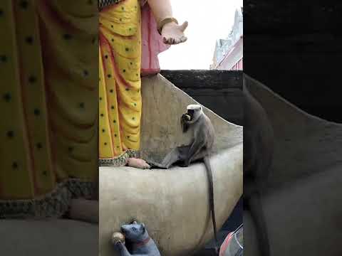 #devotionalbhajan #devotionalsong #bhajan2025 #devibhajan #ganeshchaturthi #ganesh #viralshorts