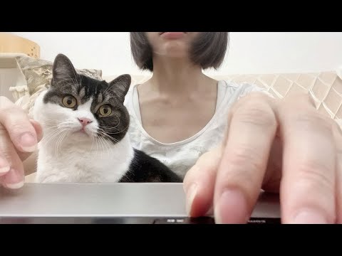 最近、猫のかまちょっぷりがレベルアップしていて大変です…汗【かまちょ集】