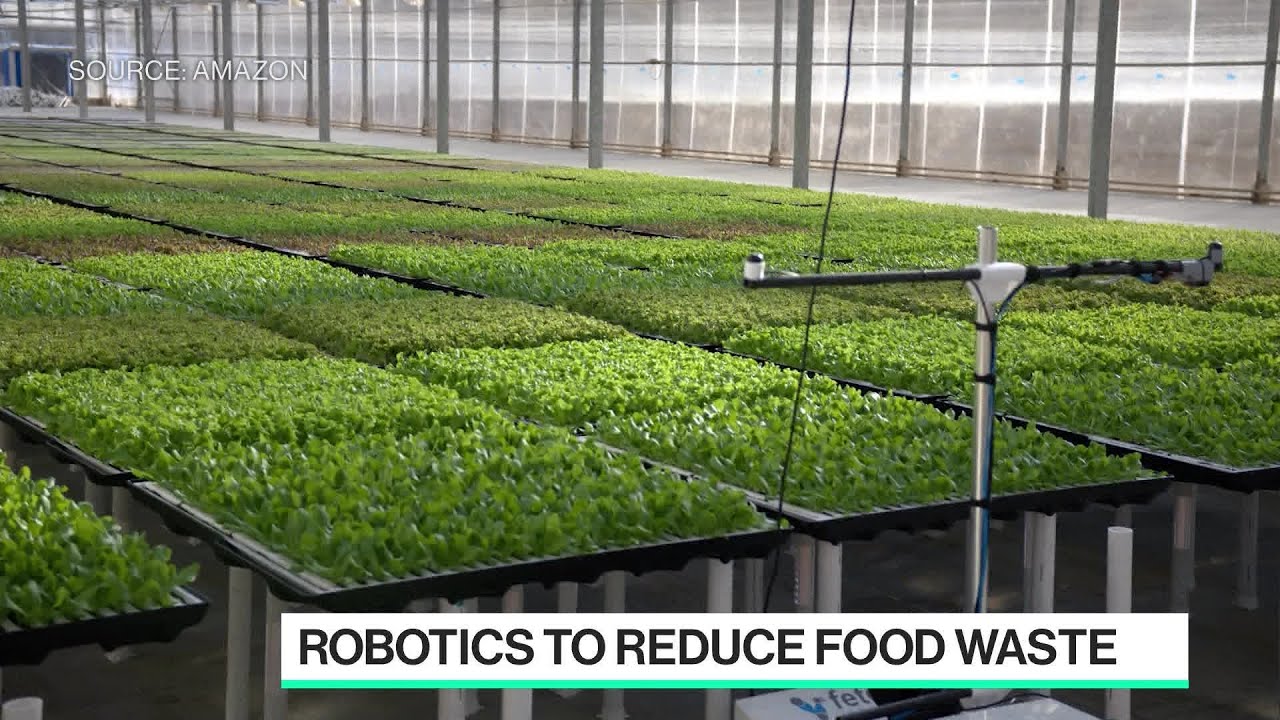 Using Robotics to Reduce Food Waste