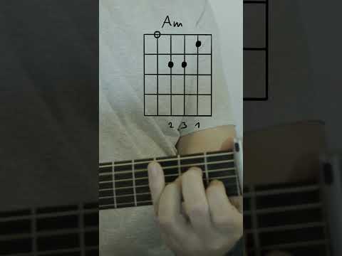 6PM RECORDS, Luciano, Hurts, SIRA - WONDERFUL LIFE Guitar Tutorial #shorts