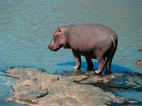 Ludovico Einaudi - I Giorni