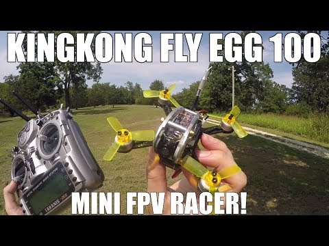 KingKong Fly Egg 100 Mini FPV Racer - UCgHleLZ9DJ-7qijbA21oIGA