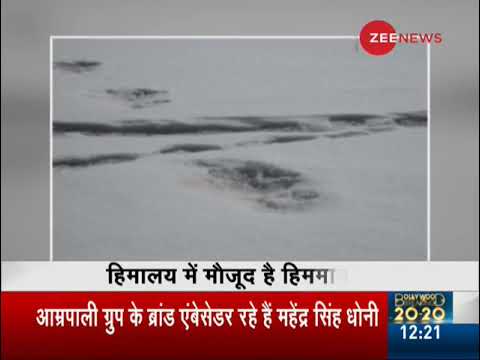 Video - Indian Army shares pictures of 'Yeti' footprint sighted near Makalu Base Camp