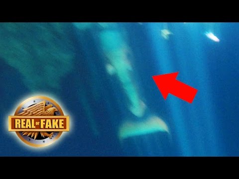 MERMAID CAUGHT ON TAPE MEXICO - real or fake? - UCrp8aFu6VjkZAY9Hhj6IrXA