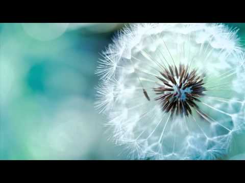'Floating in The Air' Best Liquid DnB Mix 2013 (►Mix #24◄) - UCd24KR51l3JzGZh7GoW0OEg