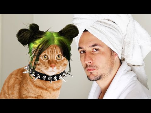 Kitty Eilish x The Kiffness - Bath Cat (Billie Eilish Bad Guy Parody)