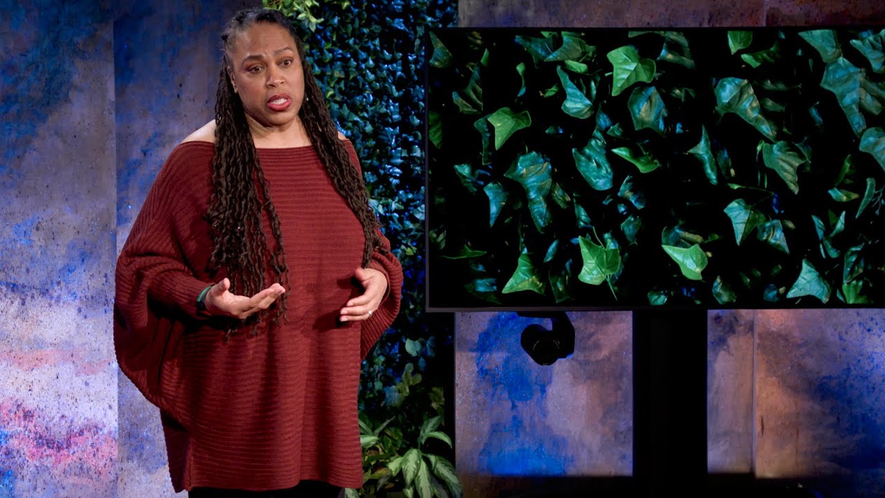 4 Ways to Have Healthy Conversations About Race | Afrika Afeni Mills | TED