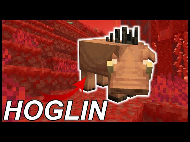 Hoglin in Minecraft - How to Tame and Breed