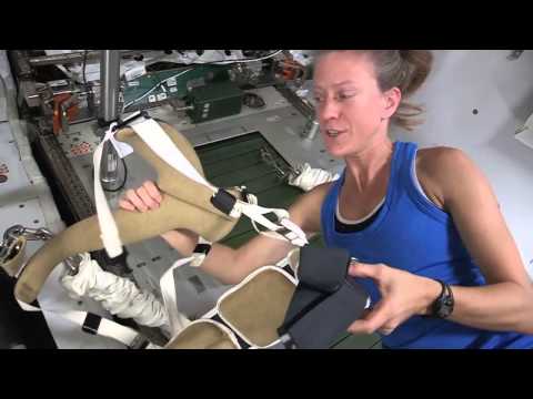 Space Station Treadmill - Running In Place On Orbit | Video - UCVTomc35agH1SM6kCKzwW_g