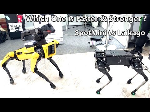 Which One is Faster -Laikago By Unitree Robotics Meeting Spotmini From Boston Dynamics. - UCHv17LJVVLDWsalk31unY4w