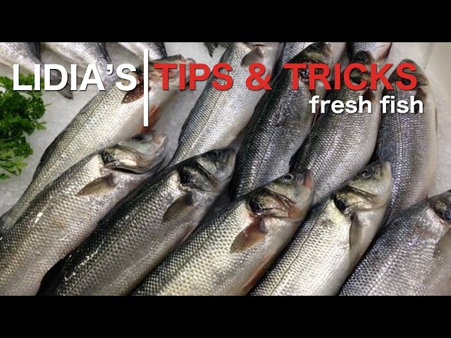 How to Preserve Fish for Maximum Freshness