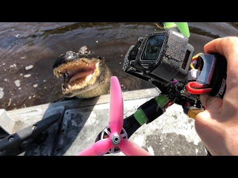 FPV Swamp Tour w/ Gators included - UCQEqPV0AwJ6mQYLmSO0rcNA