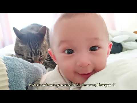 Adorable Cats Loving and Playing Babies Cute Baby and Pets Video