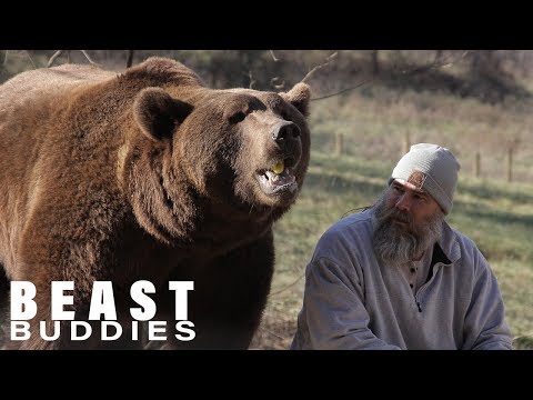 I Live With Two Grizzly Bears | BEAST BUDDIES - UC9LxuffQCm_Z4KBCoXZvSHA