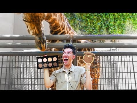 ZOO ANIMALS PICK MY MAKEUP - UCucot-Zp428OwkyRm2I7v2Q