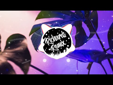 Lauv - All 4 Nothing  (Richards Remix) [4K]