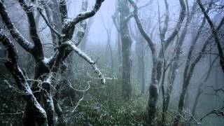 Sviatoslav Richter - Schumann - Waldszenen (Forest Scenes), Op 82