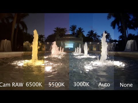 Is It Bad To Use Protune For Low Light? - GoPro Tip #174 - UCTs-d2DgyuJVRICivxe2Ktg