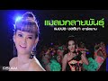 MV เพลง แมลงกลายพันธุ์ - แมงปอ ชลธิชา อาร์สยาม