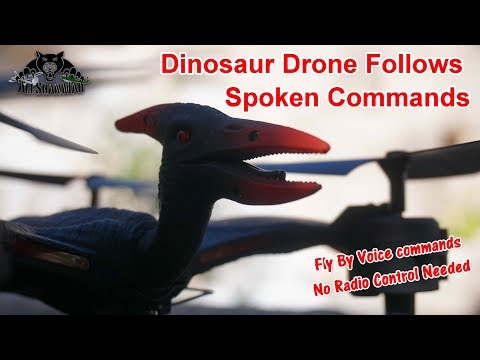 Dinosaur Camera Drone follows your voice commands FQ777 FQ19W - UCsFctXdFnbeoKpLefdEloEQ