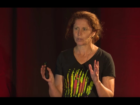 A mountain-sized telescope, under a mile of ice | Jenni Adams | TEDxChristchurch - UCsT0YIqwnpJCM-mx7-gSA4Q