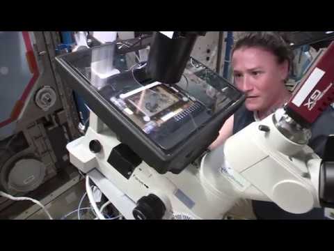 Cancer Therapy Experiment on Space Station Explained by Astronaut - UCVTomc35agH1SM6kCKzwW_g