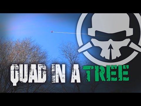 Quad in a Tree - UCemG3VoNCmjP8ucHR2YY7hw