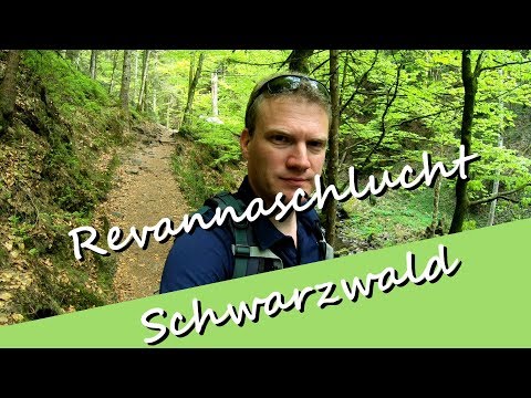 Wanderung durch die wildromatische Revannaschlucht im Schwarzwald - UCNWVhopT5VjgRdDspxW2IYQ