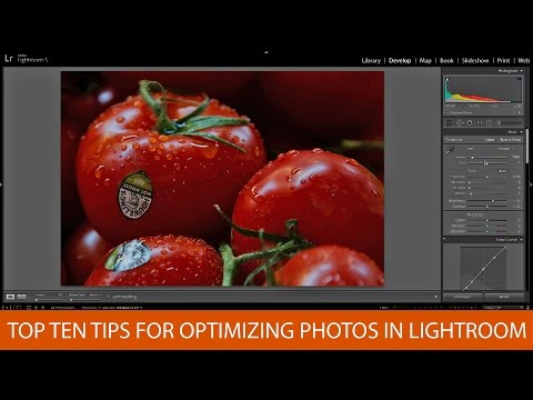 Top 10 Tips For Optimizing Photos in Lightroom - UCHIRBiAd-PtmNxAcLnGfwog