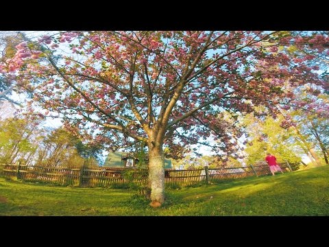 "Verdant" | FPV ACRO FREESTYLE - UCX3eufnI7A2I7IkKHZn8KSQ