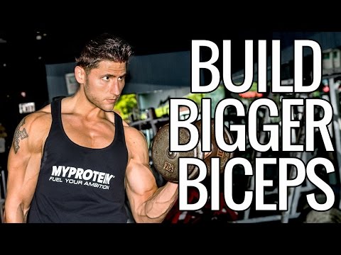 How To Build Bigger Biceps - UCHZ8lkKBNf3lKxpSIVUcmsg