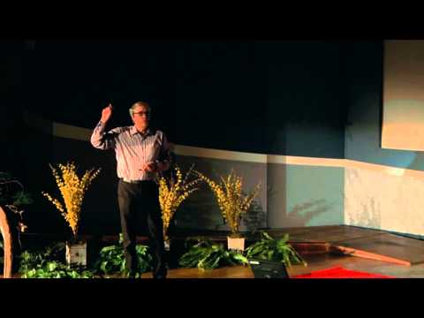 How To Ask Good Questions: David Stork at TEDxStanleyPark - UCsT0YIqwnpJCM-mx7-gSA4Q