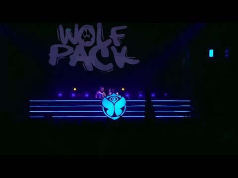 Wolfpack | Tomorrowland Belgium 2018 - UCsN8M73DMWa8SPp5o_0IAQQ