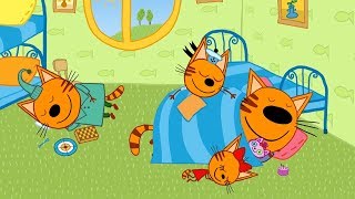 Kid-E-Cats | Sunday - Episode 13 | Cartoons for kids