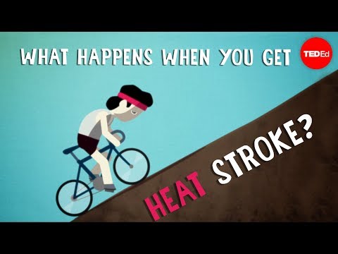 What happens when you get heat stroke? - Douglas J. Casa - UCsooa4yRKGN_zEE8iknghZA