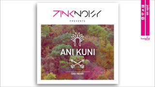 Pink Noisy - Ani Kuni (DiGi Remix) - Official Audio Release