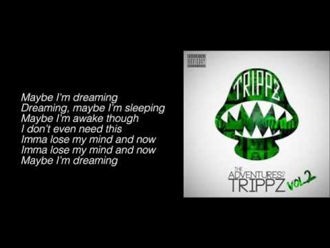 Trippz Michaud - Maybe I'm Dreaming (Lyrics) - UCxED562UWvq1RoIn7-Hcfig
