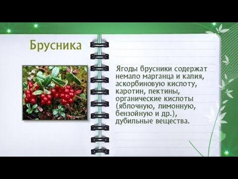 Кулинарная энциклопедия - Брусника - UC7XBjhXnmmXFsxmnys9PmDQ