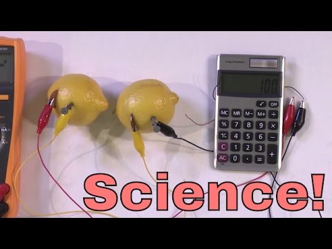 DIY | Build a Lemon Battery!  Power a Calculator with Lemons! Amazing Chemistry Experiment. - UCYgL81lc7DOLNhnel1_J6Vg